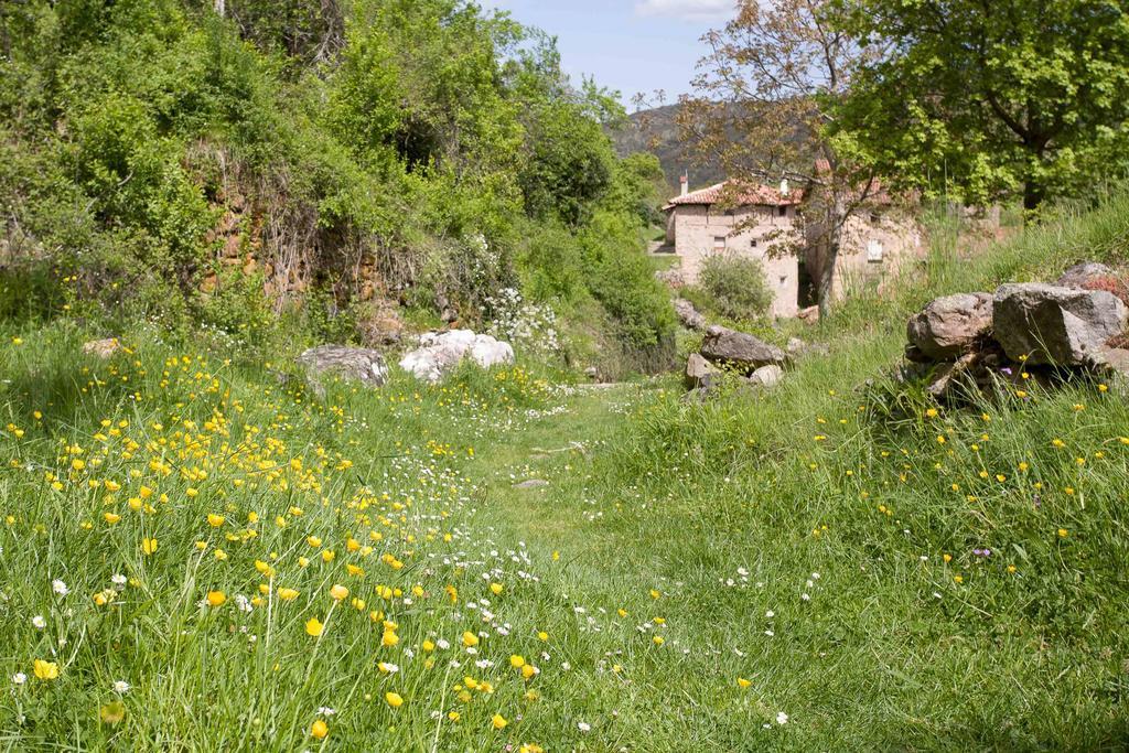 Posada De Urreci Aldeanueva de Cameros Εξωτερικό φωτογραφία