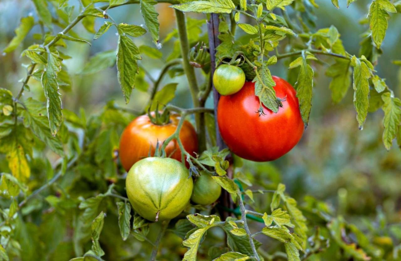 Posada De Urreci Aldeanueva de Cameros Εξωτερικό φωτογραφία